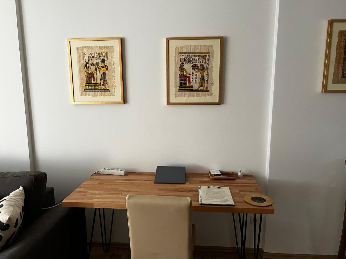 Elegant Apartment In City Centre プリシュティナ エクステリア 写真