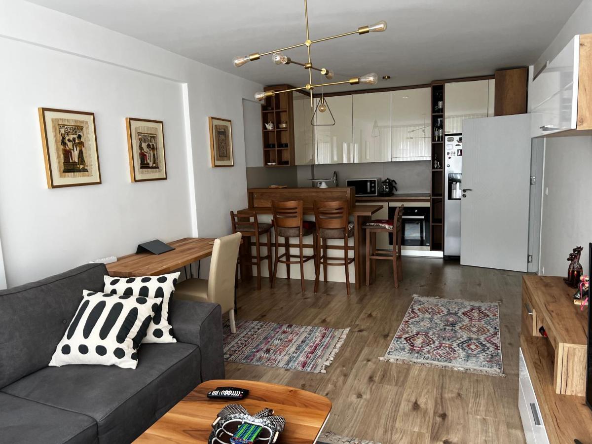 Elegant Apartment In City Centre プリシュティナ エクステリア 写真